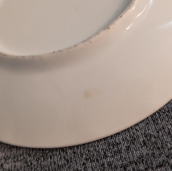 Antique Hanusch and Bernhart Porcelain Dessert/Side Plate, White Roses, Set of 4 - Picture 8 of 9